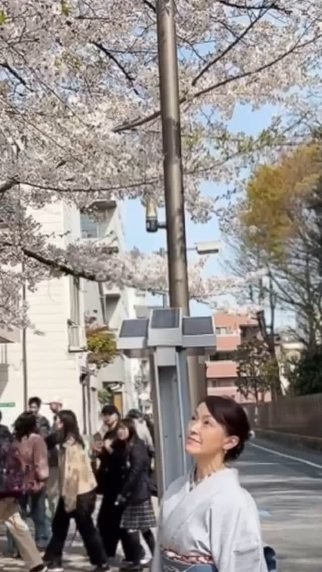 Instagram post from honjokimono. This post is in position 5.